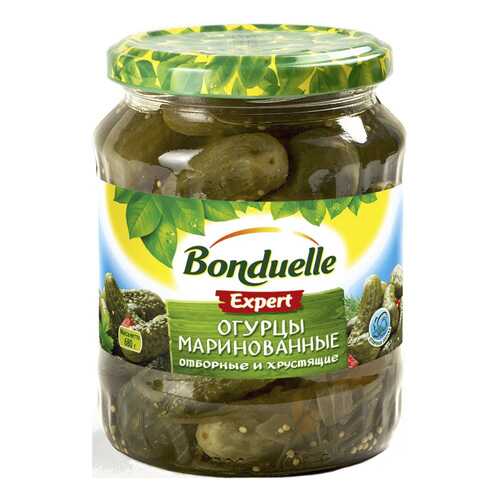 Огурцы Bonduelle маринованные 6-9см 680 г в Бристоль