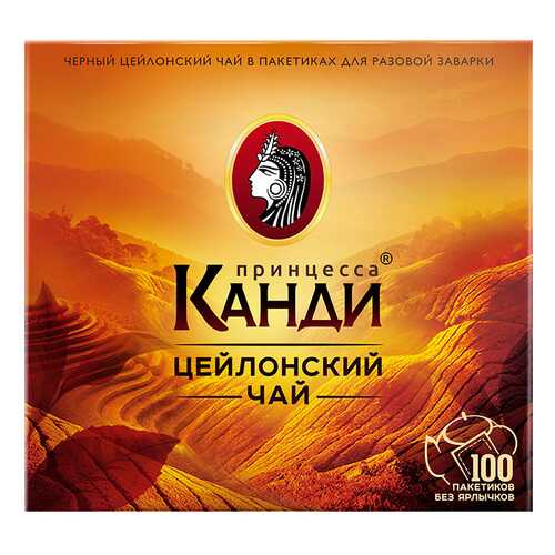 Чай черный Принцесса Канди Цейлонский 100 пакетиков без ярлыка в Бристоль