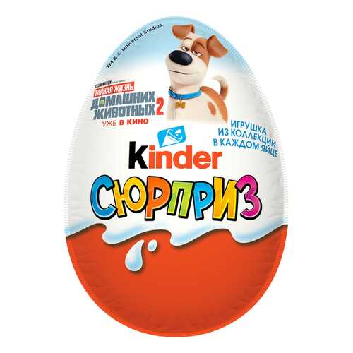 Яйцо Kinder Сюрприз из молочного шоколада с игрушкой Тайная жизнь домашних животных-2 20 г в Бристоль