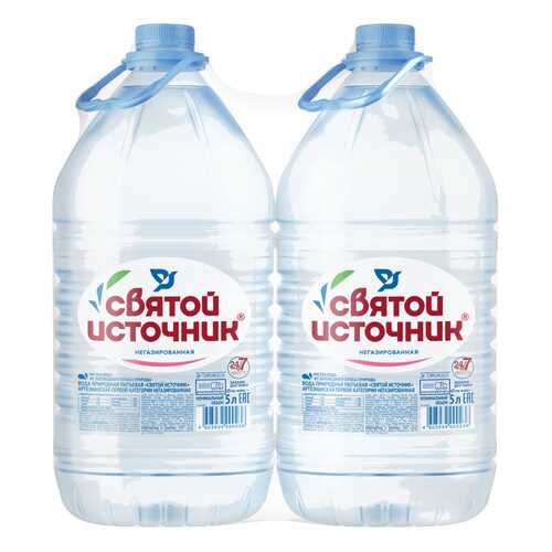 Вода питьевая Святой источник негазированная 5л/2 в Бристоль