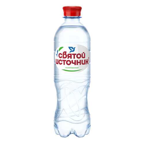 Вода СВЯТОЙ ИСТОЧНИК газ пэт 0,5л*12 шт в Бристоль