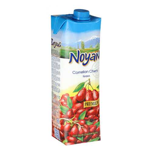 Кизиловый нектар Noyan premium 1л в Бристоль